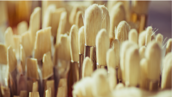 BRUSHES